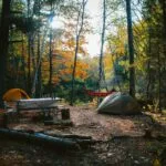 Cabin Trailer